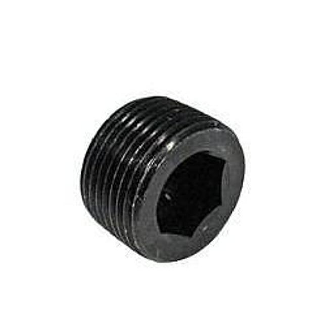 3/4" NPT plug