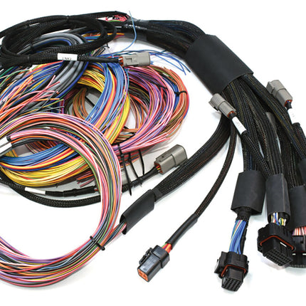 NEXUS R5 + Universal Wire-in Harness Kit Length: 2.5m (8')
